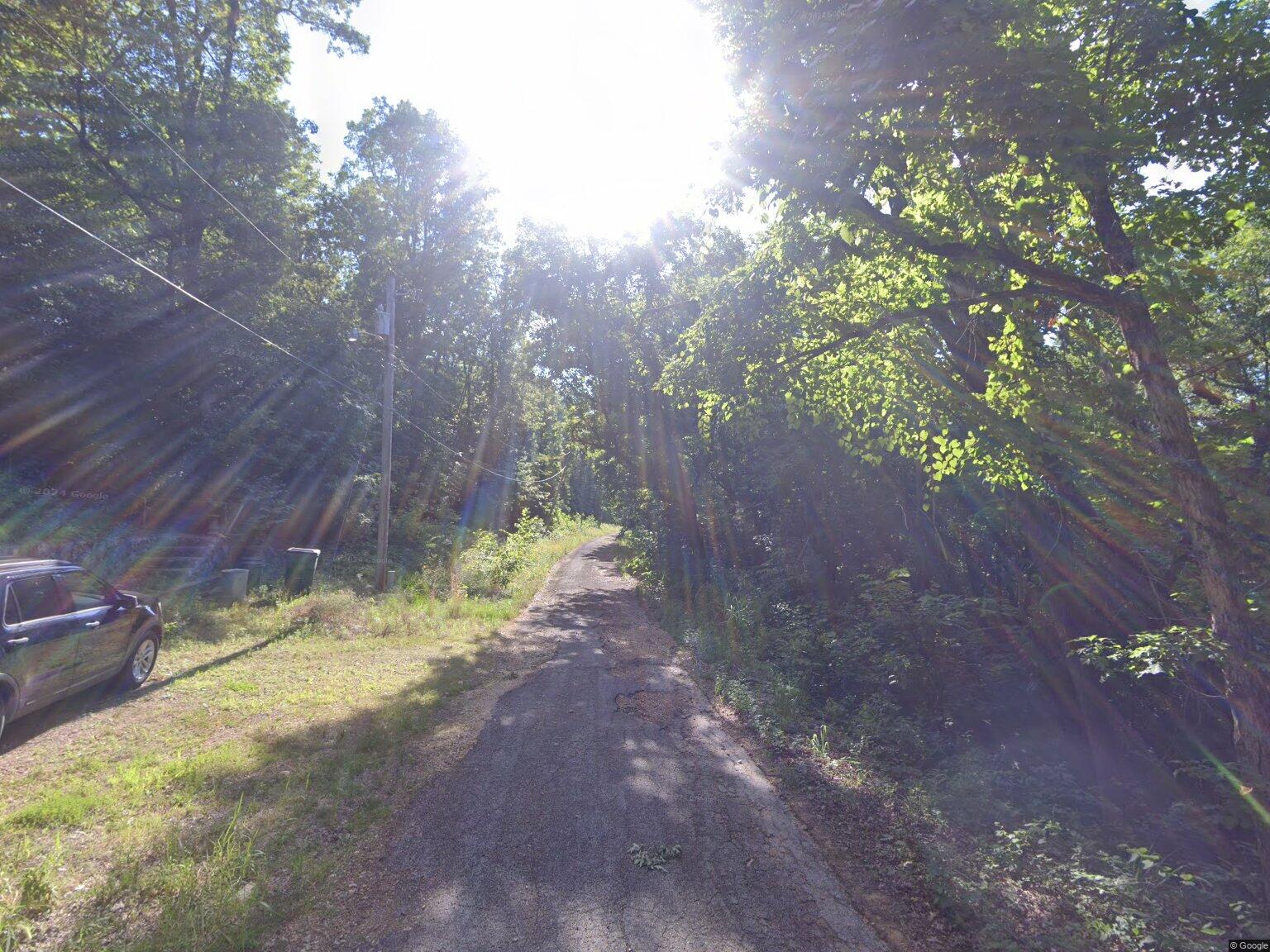 streetview (1)
