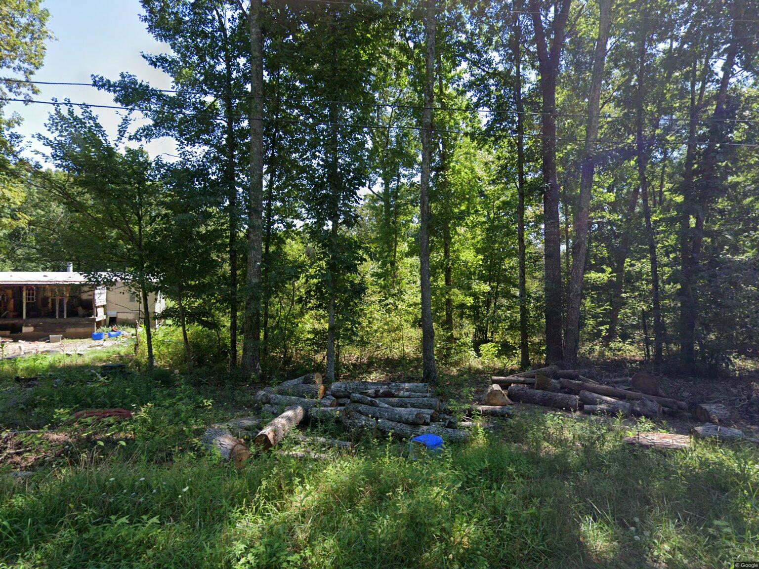 streetview (1)